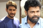 Mahesh Babu new film, Anil Ravipudi, mahesh babu shelves sukumar s project, 1 nenokkadine Mahesh Babu new film, Anil Ravipudi, mahesh babu shelves sukumar s project, 1 nenokkadine