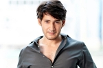 Mahesh Babu Pushpa twitter, Mahesh Babu Pushpa review, mahesh babu lauds the team of pushpa, Pushpa review Mahesh Babu Pushpa twitter, Mahesh Babu Pushpa review, mahesh babu lauds the team of pushpa, Pushpa review