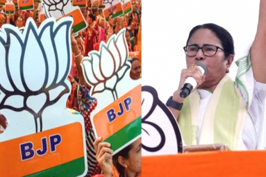Will BJP go for early elections?