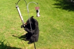 Department of Natural Resources, Michigan Black Bears, keep michigan black bears at a distance, Upper peninsula