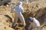 killed, Mormons, dead bodies found in mexico and morman families leave the place, Dna test