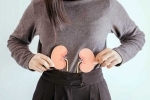 Kidneys Health latest, Kidneys Health experts, morning habits to keep your kidneys healthy, Diabetes