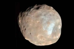 Martian Moon clicks, Martian Moon first pictures, nasa s pic of martian moon phobos breaks the internet, Hobo