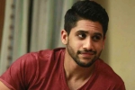 Naga Chaitanya web project, Naga Chaitanya new film, naga chaitanya in talks for a web film, Web film Naga Chaitanya web project, Naga Chaitanya new film, naga chaitanya in talks for a web film, Web film