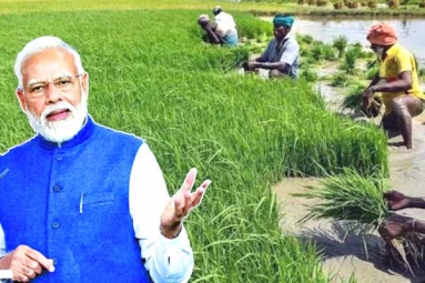 Narendra Modi&#039;s Innovations For Farmers