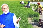 Narendra Modi news, Narendra Modi farmers breaking, narendra modi s innovations for farmers, Productivity