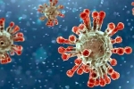 China, Covid-19, new china coronavirus variant traced in india, Covid 19