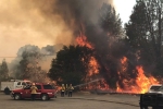 official, California, northern california wildfire leaves paradise in ruins thousands flee, California fire official, California, northern california wildfire leaves paradise in ruins thousands flee, California fire