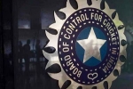World Cup 2027 India Probables list, Team India, odi world cup 2027 probables decided by bcci, Hyderabad