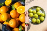 Orange Or Amla breaking, Orange Or Amla new updates, orange or amla for weight loss diet, Healthy gut