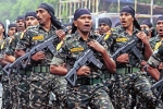 Para Commandos latest, Para Commandos, 500 para commandos to hunt for terrorists in kashmir, Communication technology