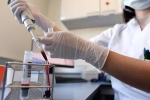 coronavirus, covid-19, plasma therapy aids recovery in covid 19 patient in new delhi, Convalescent plasma therapy