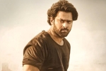Prabhas and Maruthi film budget, Prabhas and Maruthi film budget, prabhas to romance three heroines, Pakka commercial Prabhas and Maruthi film budget, Prabhas and Maruthi film budget, prabhas to romance three heroines, Pakka commercial