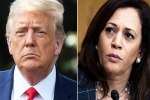 Amy Tripp breaking, Amy Tripp statement, astrologer predictions about the new us president, Amy tripp
