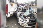 Pune Car between Two Trucks latest, Pune Car between Two Trucks, eight killed after car gets sandwiched between two trucks in pune, Dog Pune Car between Two Trucks latest, Pune Car between Two Trucks, eight killed after car gets sandwiched between two trucks in pune, Dog