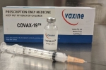 Drugmakers, Coronavirus, drugmakers capable of producing exceptional vaccine quantities for covid 19 says unicef, Unicef Drugmakers, Coronavirus, drugmakers capable of producing exceptional vaccine quantities for covid 19 says unicef, Unicef