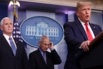 lockdown, new york, quarantine will not be necessary president trump about new york lockdown, Rhode island