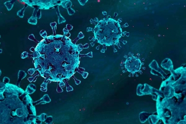 Rare human coronavirus found in Kolkata woman