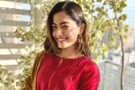 Rashmika Mandanna news, Rashmika Mandanna news, rashmika mandanna bags one more biggie, Gautam tinnanuri Rashmika Mandanna news, Rashmika Mandanna news, rashmika mandanna bags one more biggie, Gautam tinnanuri