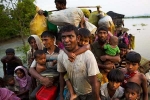 Supreme Court, Prashant Bhushan, supreme court allows deportation of 7 rohingyas to myanmar, India border