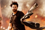 Saaho news, Prabhas, saaho ten days telugu states collections, Evelyn sharma