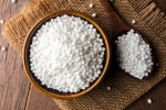 Sabudana latest breaking, Sabudana health benefits, is sabudana good for health, Sabudana Sabudana latest breaking, Sabudana health benefits, is sabudana good for health, Sabudana
