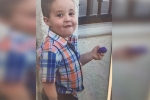 Search continuous For 5-Year-Old Missing Boy, Search Is On For 5-Year-Old Missing Boy, search is on for 5 year old boy, Hounds Search continuous For 5-Year-Old Missing Boy, Search Is On For 5-Year-Old Missing Boy, search is on for 5 year old boy, Hounds