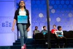 scripps national spelling bee 2018, Shruthika Padhy, indian origin spelling bee veteran shruthika padhy is back to compete in this year s annual bee, National spelling bee