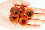 Soaked Anjeer latest breaking, Soaked Anjeer new updates, can you take soaked anjeer every day, Walnut Soaked Anjeer latest breaking, Soaked Anjeer new updates, can you take soaked anjeer every day, Walnut