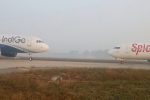 Flights face-to-face, IGI airport, spicejet indigo flights come face to face at igi airport, Spicejet flight