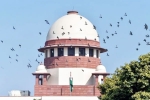 Child Pornography download, Child Pornography Supreme Court, supreme court says watching storing child pornography is a crime, Madras