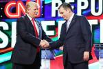 Donald Trump, Democrats, ted cruz says donald trump is a bully, Tricksters