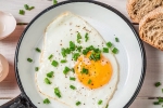 health benefits, healthy, top 5 benefits of eggs that ll make you to eat them every day, Chicken