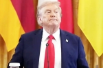 Trump Tariff on India updates, Trump Tariff on India updates, trump imposed tariffs on india to pressurize russia, Volodymyr zelensky