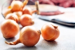 Metformin, Raw Onion Vs Metformin updates, type 2 diabetes is raw onion better than metformin, Metformin