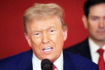 Donald Trump Tariff War with India, Steve Hanke on India tariff, top us economist on trump s tariff war with india, Donald trump tariff war with india Donald Trump Tariff War with India, Steve Hanke on India tariff, top us economist on trump s tariff war with india, Donald trump tariff war with india