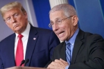 United States, United States, us could start reopening in may anthony fauci, Fight back