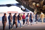 Donald Trump, USA Illegal Immigrants arrested, usa arrests over 500 illegal immigrants, Preview
