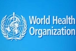 USA WHO news, USA WHO updates, usa withdraws from world health organization, 26 gos USA WHO news, USA WHO updates, usa withdraws from world health organization, 26 gos
