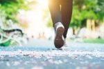 8500 Steps Vs Weight Regain latest breaking, 8500 Steps, walking 8500 steps can help prevent weight regain, Lifestyle 8500 Steps Vs Weight Regain latest breaking, 8500 Steps, walking 8500 steps can help prevent weight regain, Lifestyle