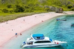Pink Beach in Indonesia best, Pink Beach in Indonesia breaking, which pink beach should you visit in indonesia, Tourists Pink Beach in Indonesia best, Pink Beach in Indonesia breaking, which pink beach should you visit in indonesia, Tourists