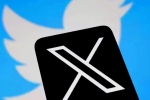 X, Twitter X new feature, new feature in x twitter, Blue tick