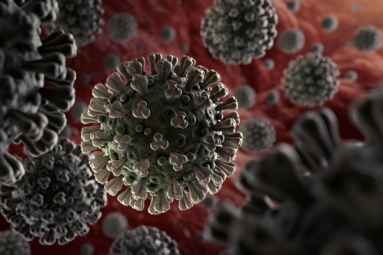 Anti-Parasitic Drug Successful In Killing Coronavirus In 48 Hours: Study