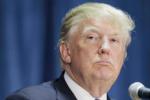 Repulicans, Democrats, donald trump accepts trailing, American presidential elections Repulicans, Democrats, donald trump accepts trailing, American presidential elections