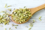 Gastroenterologist Recommends eating Fennel Seeds after Meal