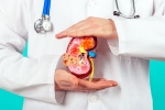 Kidney Health new tips, Kidney Health suggestions, top fruits that are good for kidney health, Rapes Kidney Health new tips, Kidney Health suggestions, top fruits that are good for kidney health, Rapes