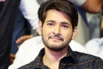 actor mahesh babu, mahesh babu bank accounts, actor mahesh babu s bank accounts frozen by gst dept over tax dues, Jayapradha actor mahesh babu, mahesh babu bank accounts, actor mahesh babu s bank accounts frozen by gst dept over tax dues, Jayapradha