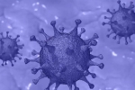 Israel Coronavirus deaths, Israel Coronavirus deaths, israel reports a new variant of coronavirus, Omicron