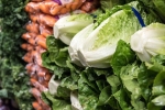 Escherichia Coli, E.coli Outbreak, five deaths 197 maladies in e coli outbreak connected to romaine lettuce, E coli outbreak uk