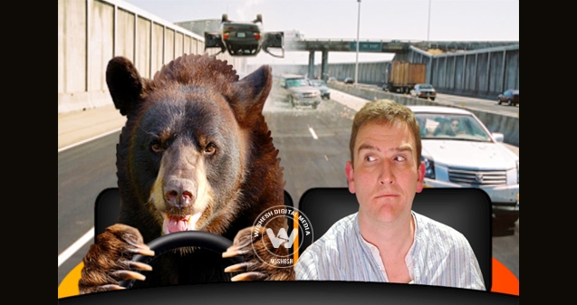 Bear Takes Ride in Lamborghini },{Bear Takes Ride in Lamborghini 